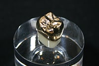 ゴールドクラウン