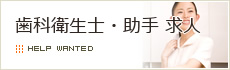 歯科衛生士・助手 求人