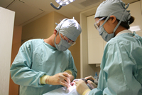 ドレープキット